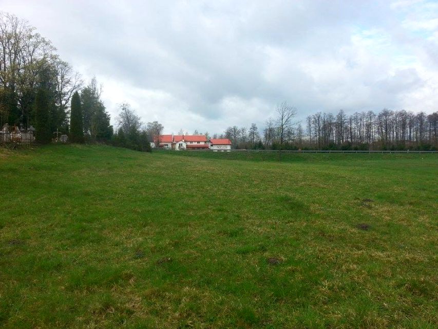 Zdjęcie 3