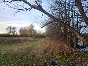 Działka Otwock Wielki