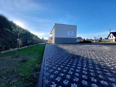 Mieszkanie Tarnowskie Góry sprzedaż