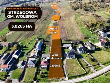 Działka usługowa Strzegowa