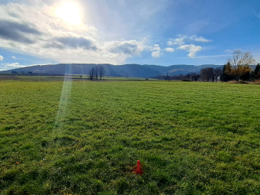 Działka Stara Łomnica