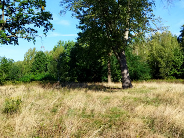 Działka budowlana Grabina