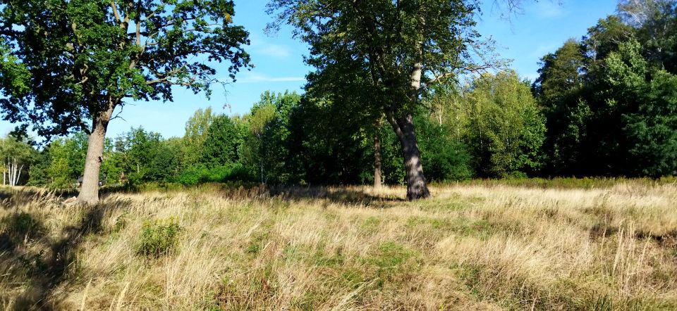 Działka budowlana Grabina