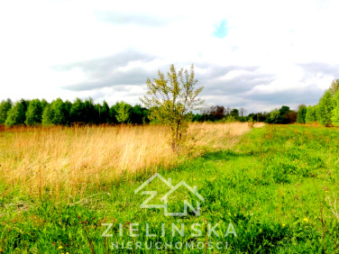 Działka siedliskowa Naruszewo