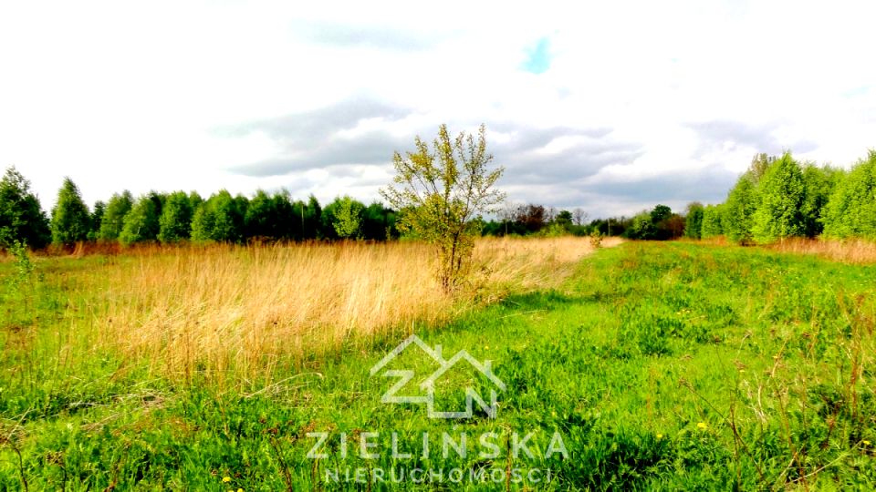 Działka siedliskowa Naruszewo