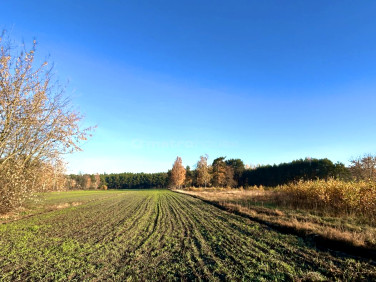 Działka rekreacyjna Szydłów