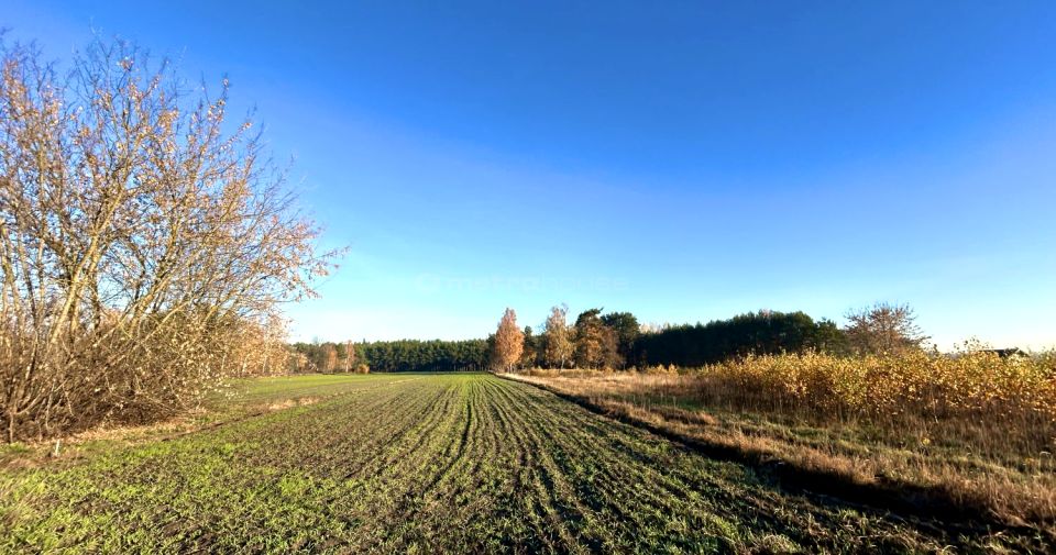 Działka rekreacyjna Szydłów