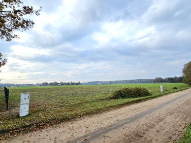 Działka budowlana Zębowo