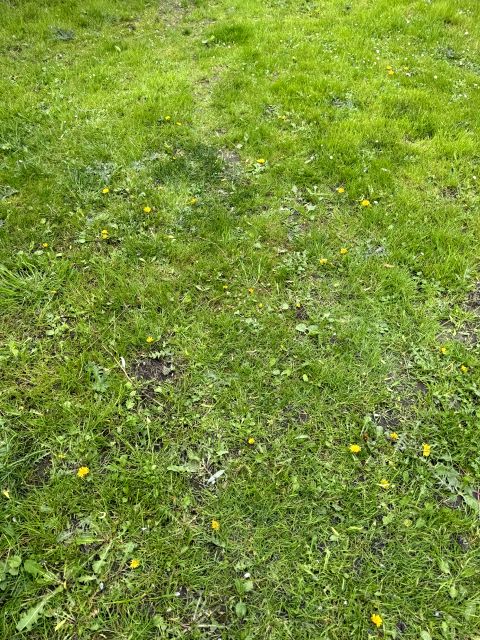 Działka budowlana Konstantów sprzedam