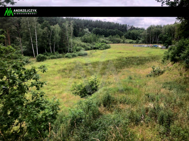 Działka inna Barniewice
