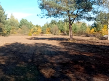 Działka budowlana Słubica Dobra