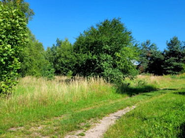 Działka budowlana Bożepole Małe