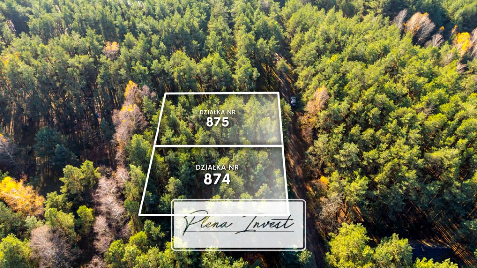 Działka przy lesie