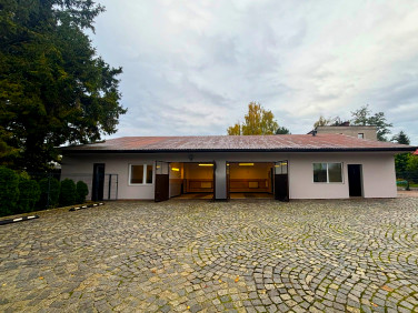 Lokal Kraków wynajem