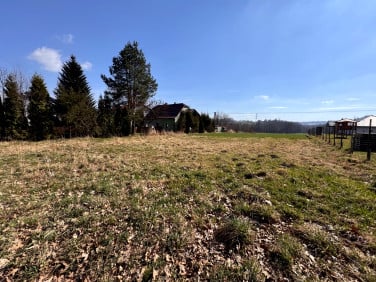 Dom wolnostojący sprzedaż