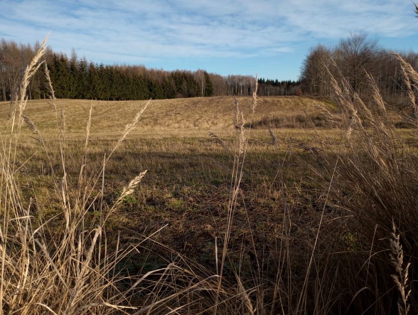 Działka budowlana Studzianka