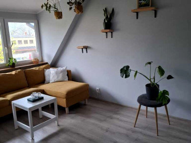 Mieszkanie Biskupiec