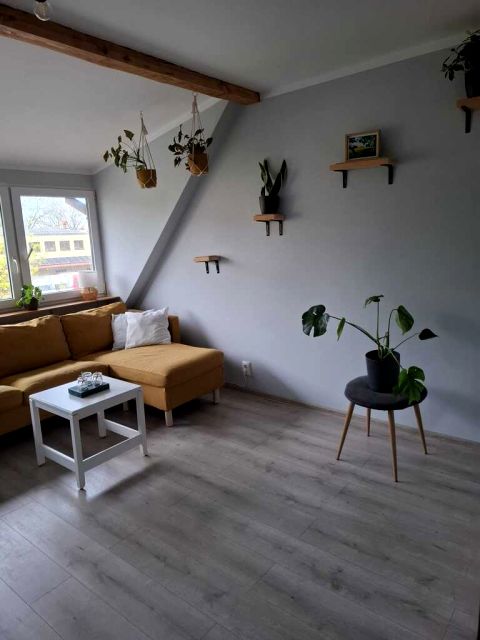 Mieszkanie Biskupiec