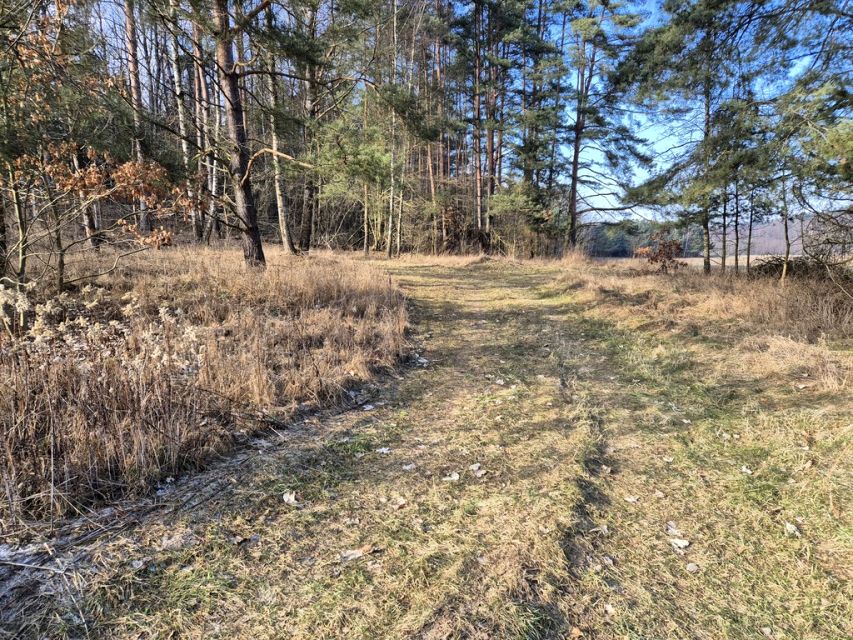 Działka budowlana Rukławki