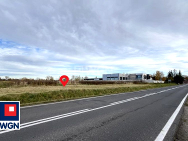 Działka inwestycyjna Chojnów