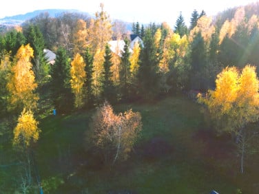 Działka budowlana Limanowa