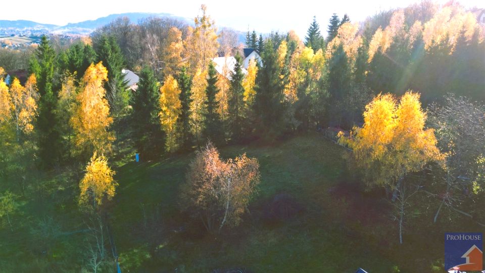 Działka budowlana Limanowa