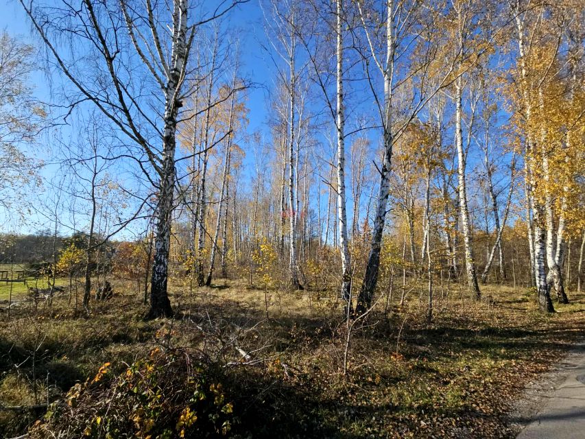 Działka leśna Jaktorów-Kolonia