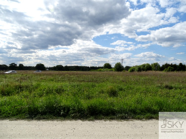 Działka JESZKOWICE