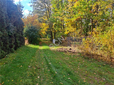 Działka rolna Lipowo