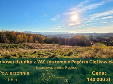 Działka budowlano-rolna Zalasowa