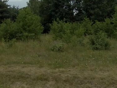 Działka budowlana Chrzanów Mały