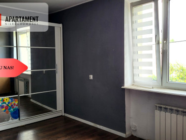 Mieszkanie Olszewka