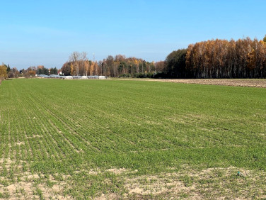 Działka budowlano-rolna Wola Gutowska