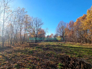 Działka budowlana Chrzanów Mały sprzedam