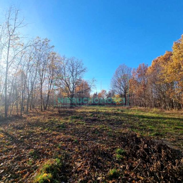 Działka budowlana Chrzanów Mały sprzedam