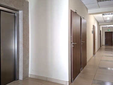 Lokal Białystok wynajem