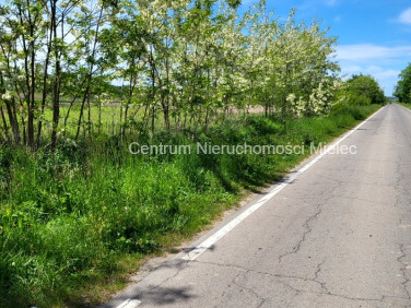 Działka inwestycyjna Jamy