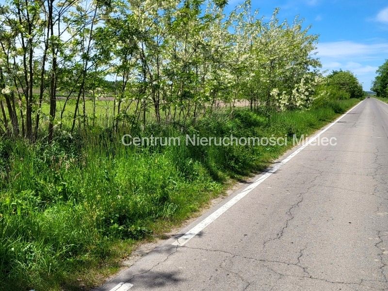 Działka inwestycyjna Jamy