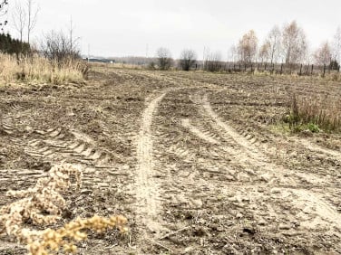 Działka budowlana Chełm Śląski