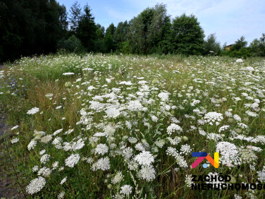 Działka budowlana Zabór