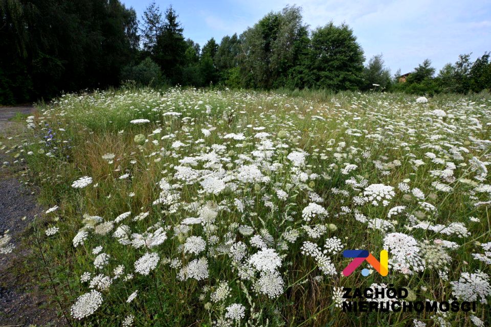 Działka budowlana Zabór