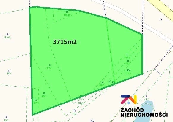 Zdjęcie 2