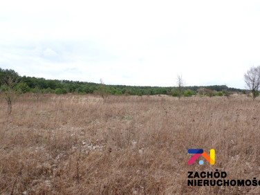 Działka rolna Dąbrowa