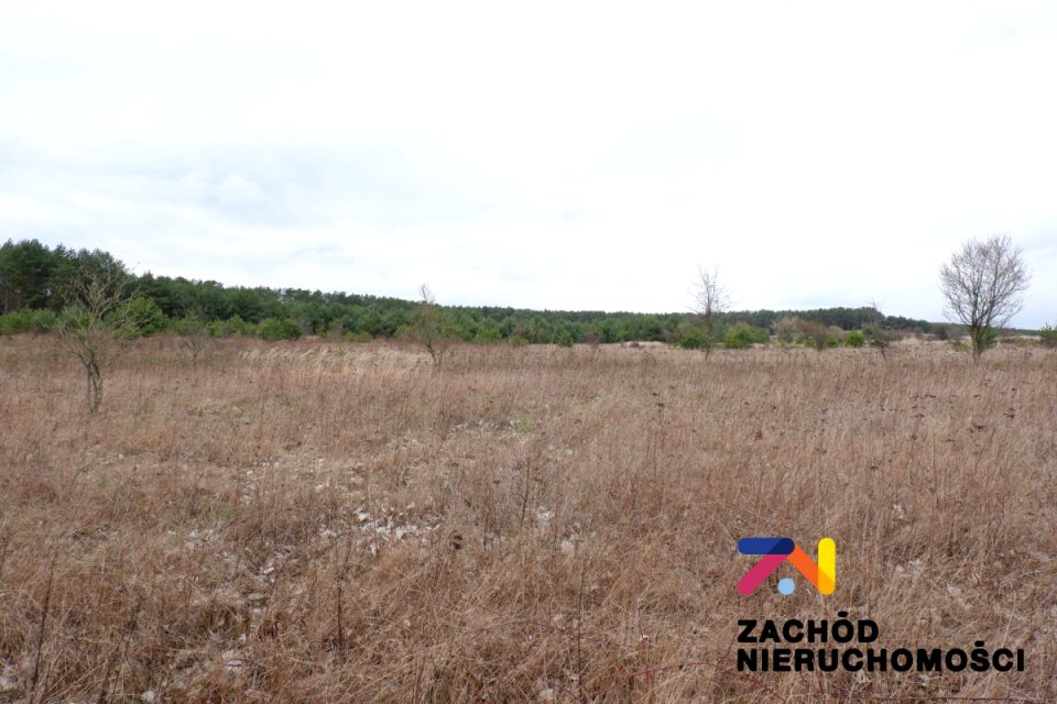 Działka rolna Dąbrowa