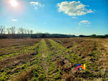 Działka budowlana Zabór