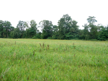 Działka budowlana Dychów