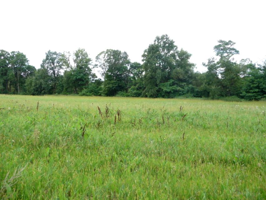 Działka budowlana Dychów