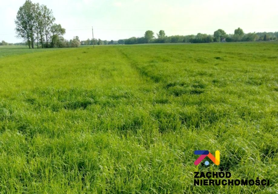 Działka budowlana Książ Śląski