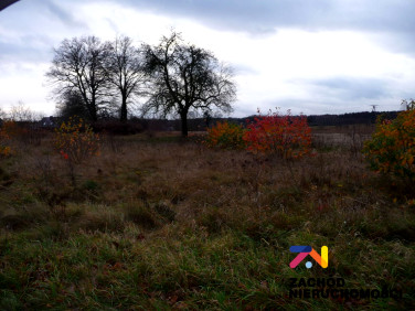 Działka budowlana Nowogród Bobrzański