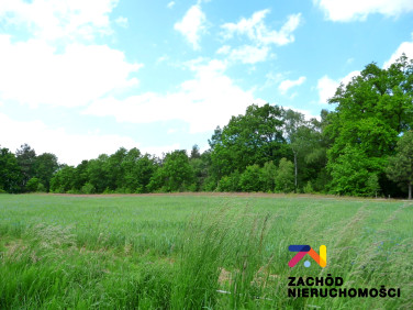 Działka budowlana Drągowina